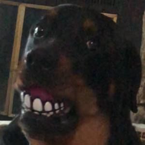 Meet your Posher, Joshua